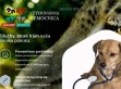 Nhled www strnek http://veterinarna-pohotovost.sk