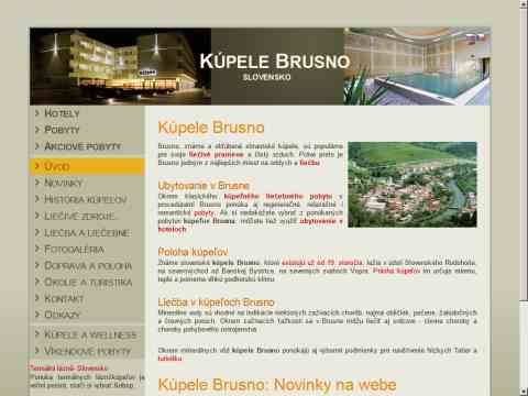 Nhled www strnek http://kupele.brusno.info/