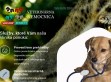 Kliknutím přejdete na http://veterinarna-pohotovost.sk Náhled www stránek http://veterinarna-pohotovost.sk